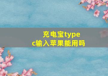 充电宝type c输入苹果能用吗